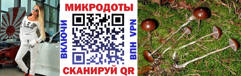 Галлюциногенные грибы мицелий  Купить  Благодарный 